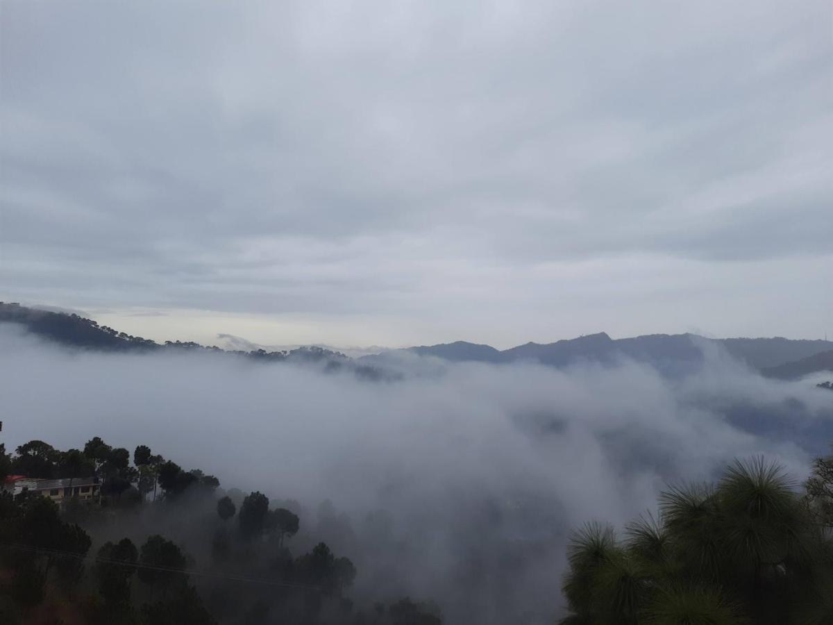 Hotel Le Halcyon Solan Esterno foto