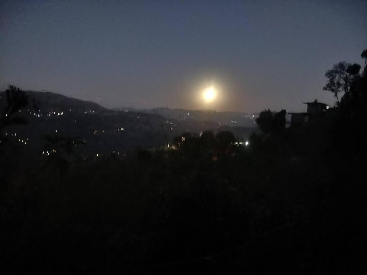 Hotel Le Halcyon Solan Esterno foto